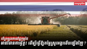 វិស័យស្រូវអង្ករ