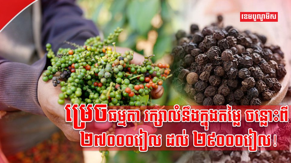 ទីផ្សារម្រេច