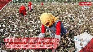 ក្រុមហ៊ុនចិន