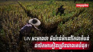 អង្គការសហប្រជាជាតិ