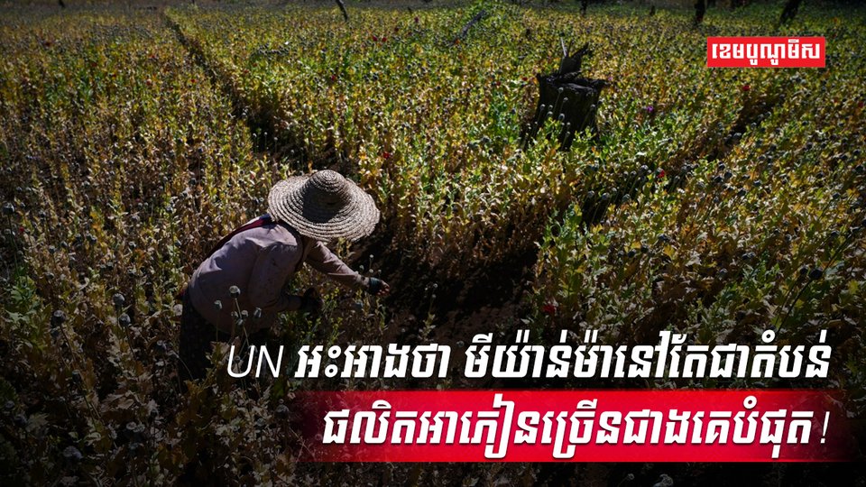 អង្គការសហប្រជាជាតិ
