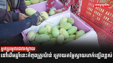 វិស័យកសិកម្ម