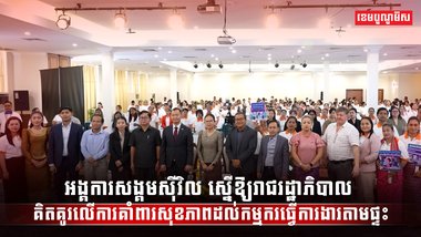 វិស័យការងារ