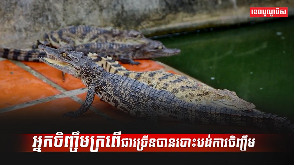 អ្នកចិញ្ចឹមក្រពើ