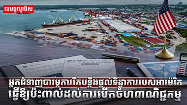 ការស្នើសុំទិដ្ឋាការ