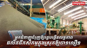 វិស័យកសិកម្ម