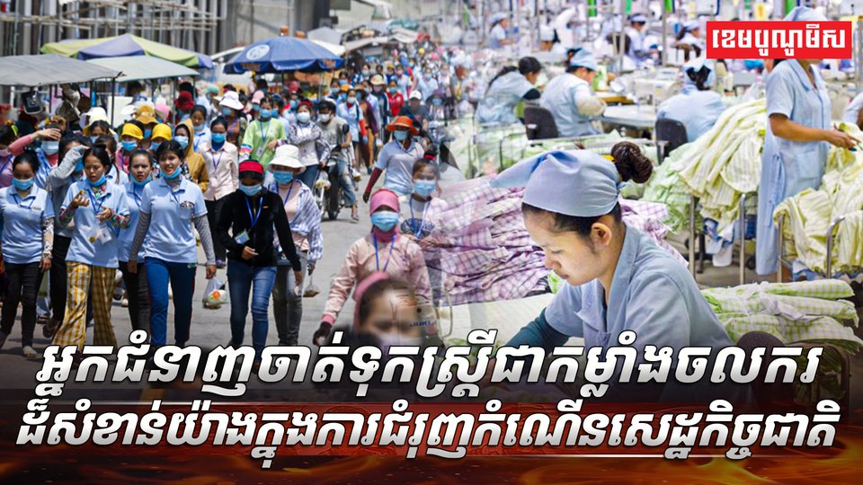 វិស័យ SME