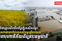 អ្នកជំនាញលើកទឹកចិត្ត