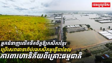 អ្នកជំនាញលើកទឹកចិត្ត