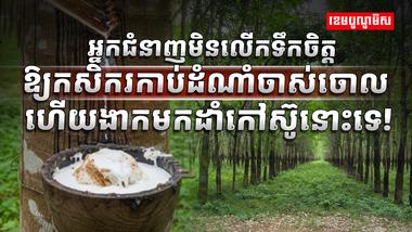 ទីផ្សារជ័រកៅស៊ូ