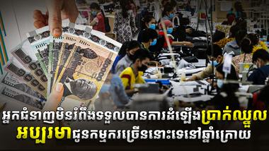 វិស័យការងារ
