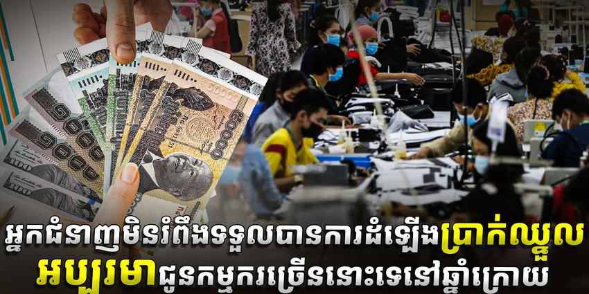 វិស័យការងារ