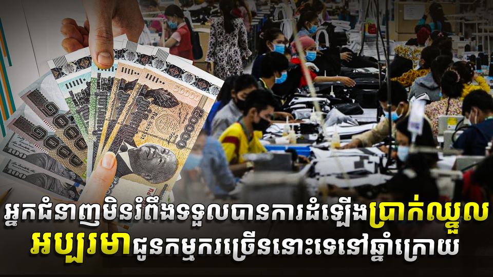 វិស័យការងារ