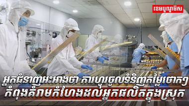 វិស័យ​​ SME