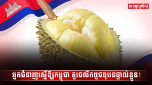 វិស័យកសិកម្ម