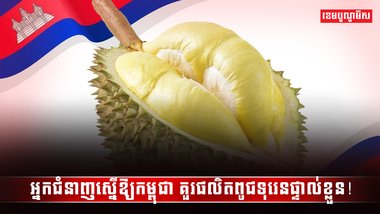 វិស័យកសិកម្ម