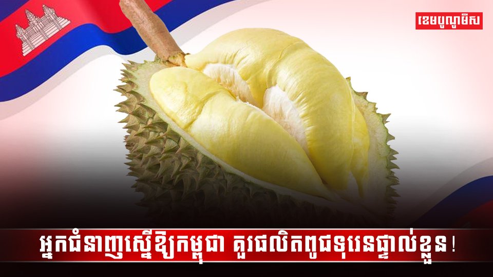 វិស័យកសិកម្ម