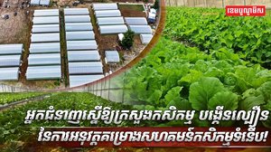 គម្រោងសហគមន៍កសិកម្មទំនើប
