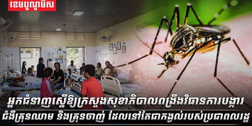 វិស័យ​សុខាភិបាល