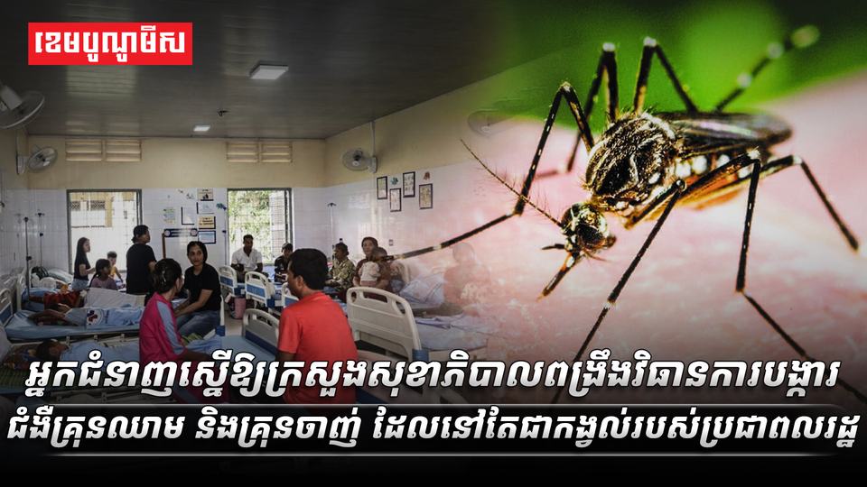 វិស័យ​សុខាភិបាល
