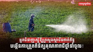 វិស័យកសិកម្ម