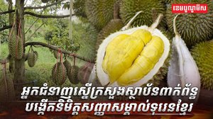 ដំណាំទុរេន