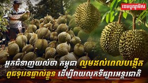 ​​វិស័យ​កសិកម្ម