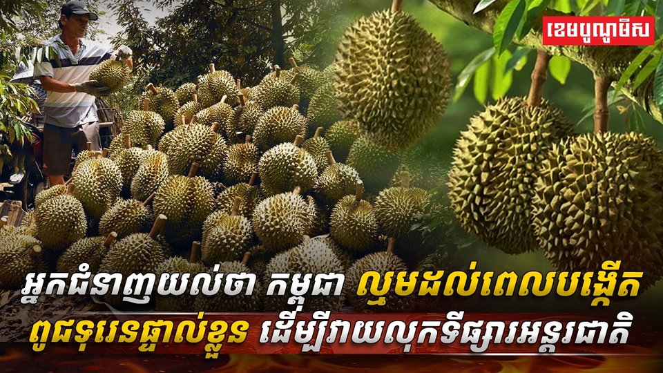 ​​វិស័យ​កសិកម្ម
