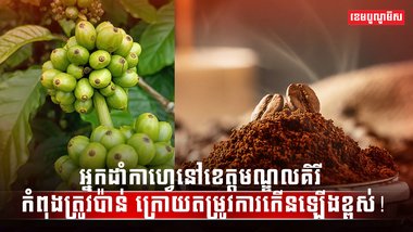 ទីផ្សារកាហ្វេ