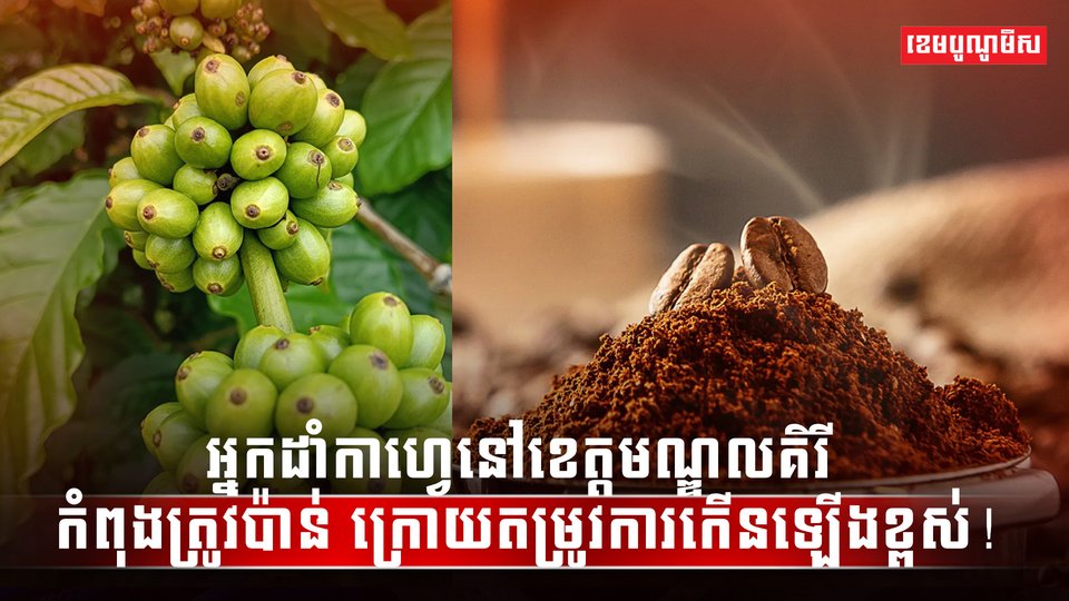 ទីផ្សារកាហ្វេ