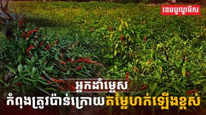 កសិករ