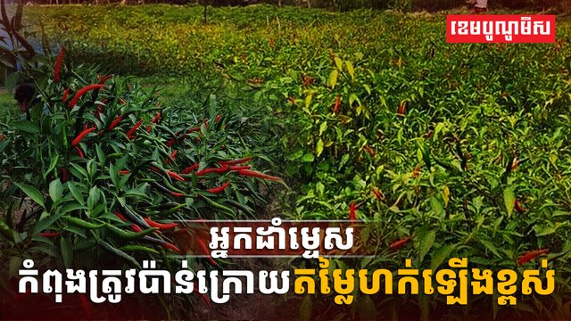 កសិករ