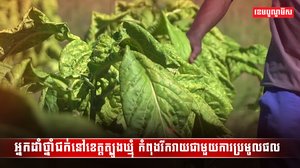 ថ្នាំជក់