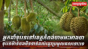 អ្នកដាំទុរេននៅខេត្តកំពង់