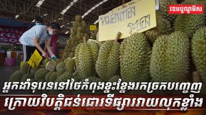 វិស័យ កសិកម្ម