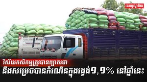 វិស័យកសិកម្ម