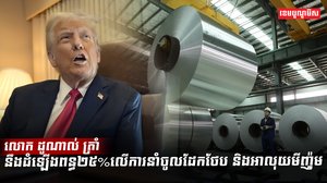 ការនាំចូលដែក
