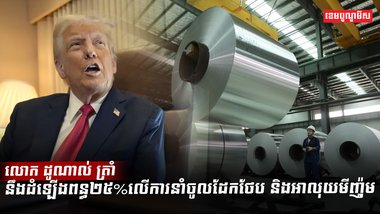 ការនាំចូលដែក