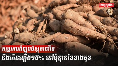 ដំឡូងមី