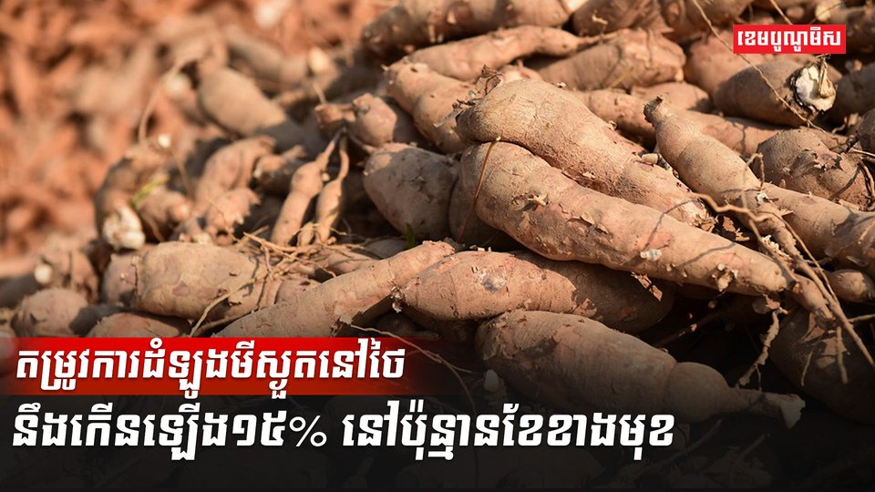 ដំឡូងមី