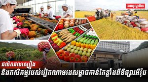 វិស័យកសិកម្ម