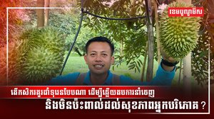 ដាំណាំទុរេន
