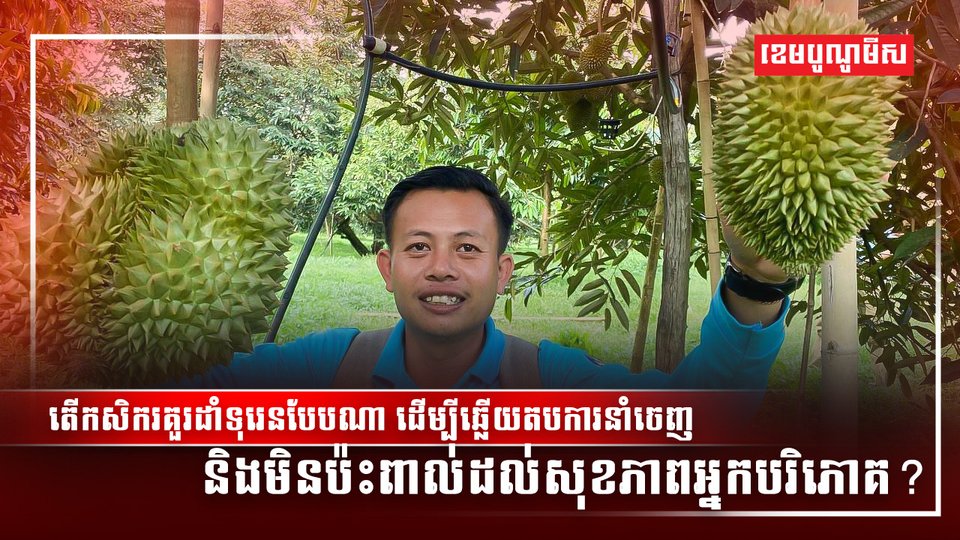 ដាំណាំទុរេន