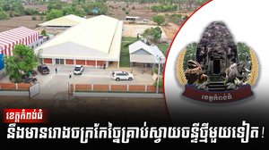 វិស័យស្វាយចន្ទី
