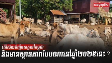 វិស័យចិញ្ចឹមសត្វ