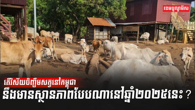 វិស័យចិញ្ចឹមសត្វ