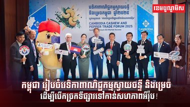 វិស័យពាណិជ្ជកម្ម