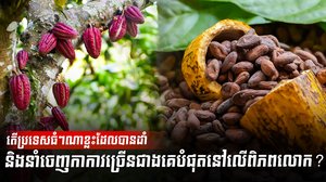 វិស័យកសិកម្ម