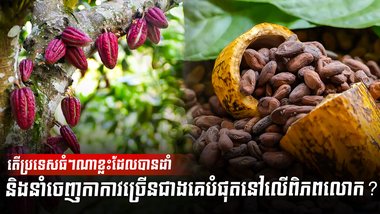វិស័យកសិកម្ម