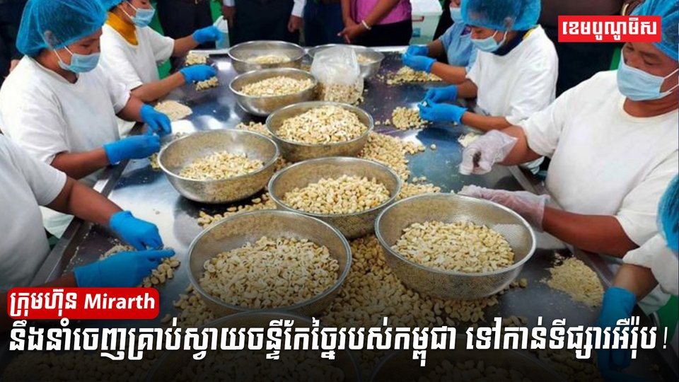 ដំណាំស្វាយចន្ទី